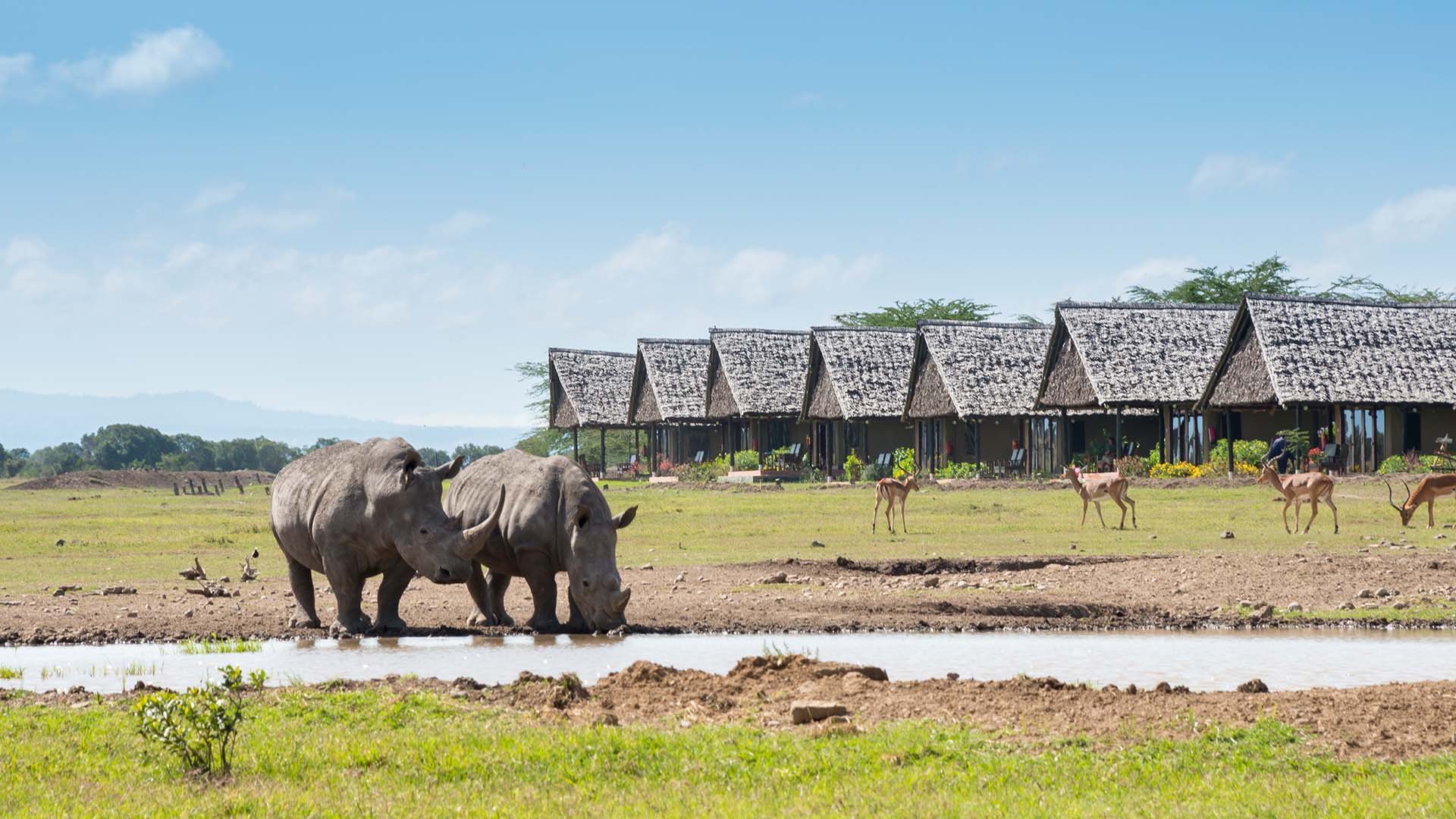 Kom tett på dyrelivet fra campen