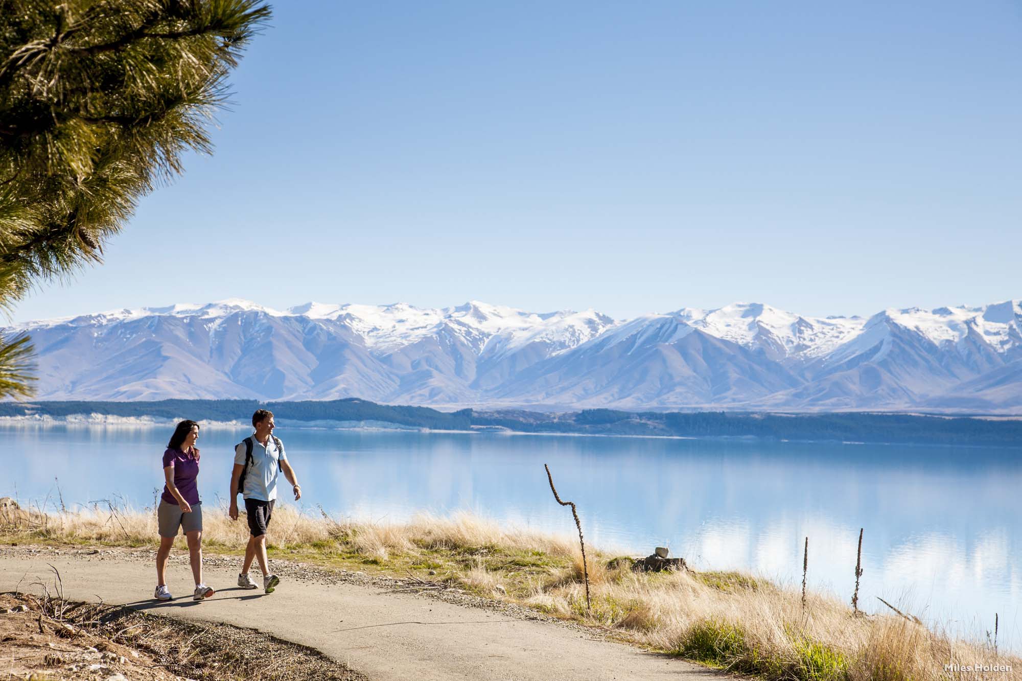 Mackenzie Basin, Queenstown (Foto: New Zealand Tourism/Miles Holden) - Rundreiser på New Zealand