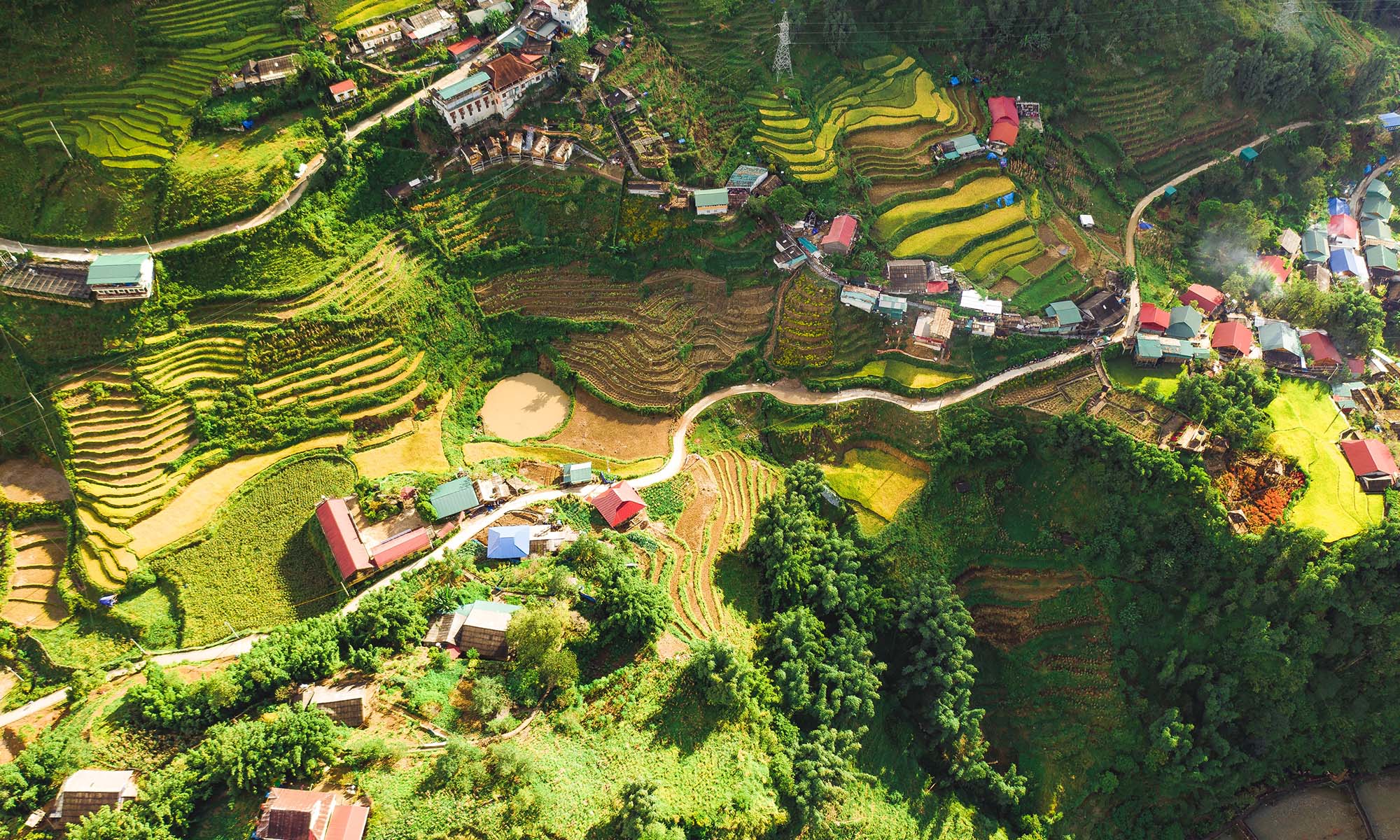 Rismarker i spennende Vietnam