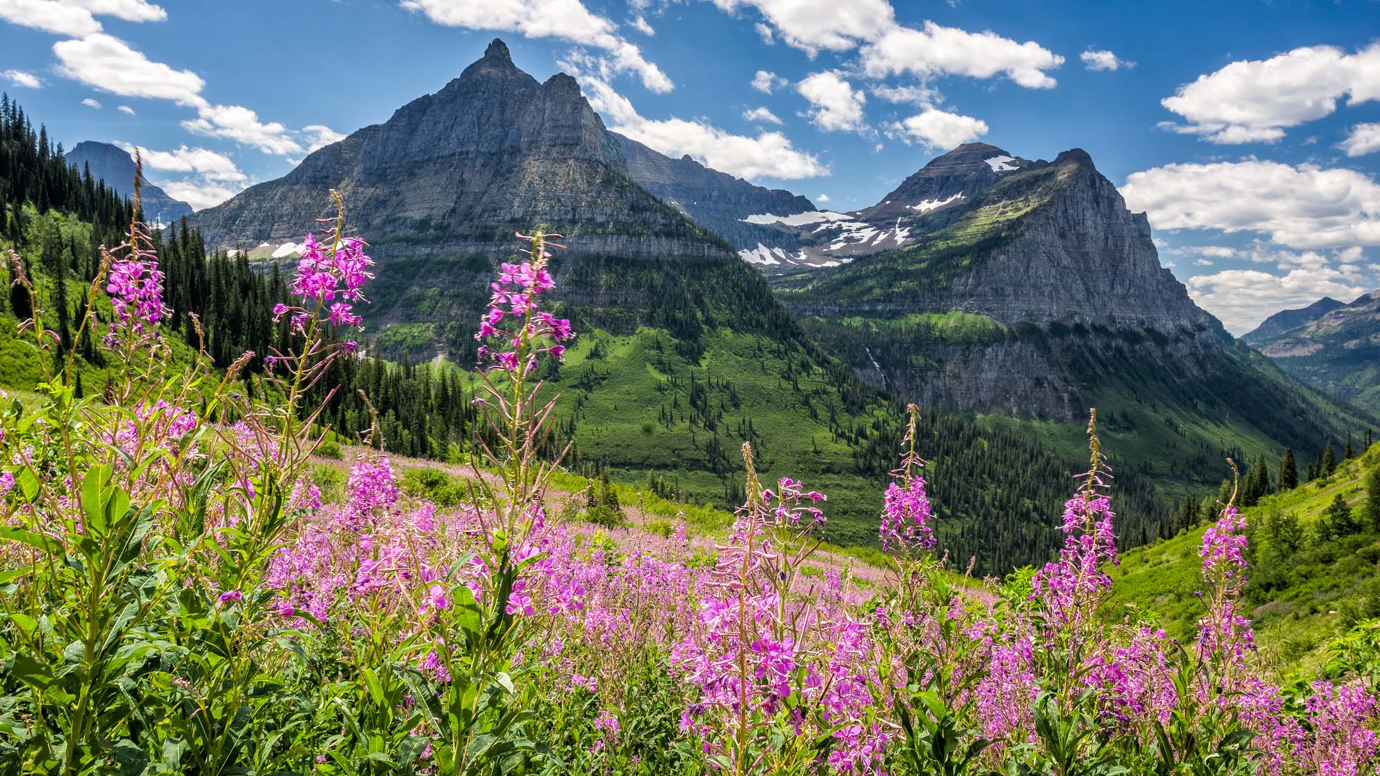 Det er ikke uten grunn at Glacier blir kalt "Kontinentets krone" - Reiser til Glacier nasjonalpark