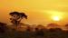 Vakker solnedgang - Safari i Amboseli nasjonalpark