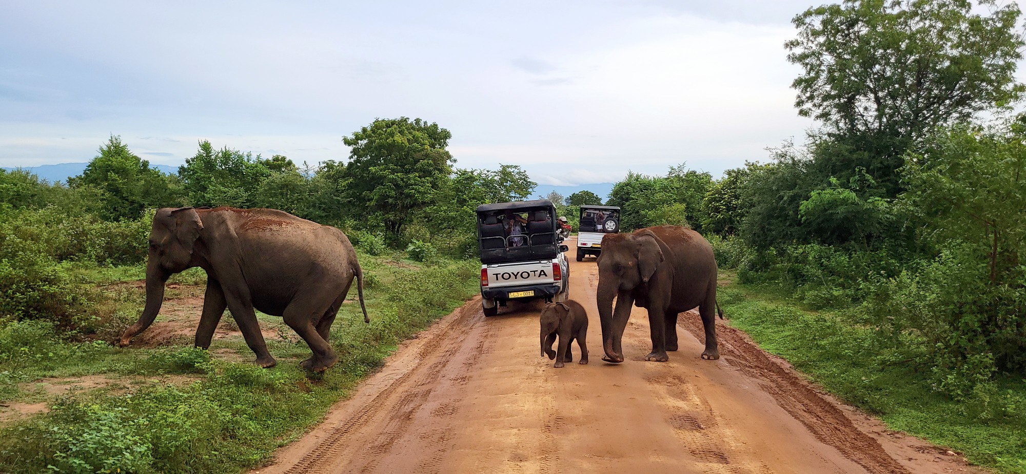 Sri Lanka Og Maldiverne Webinar 2000X924px