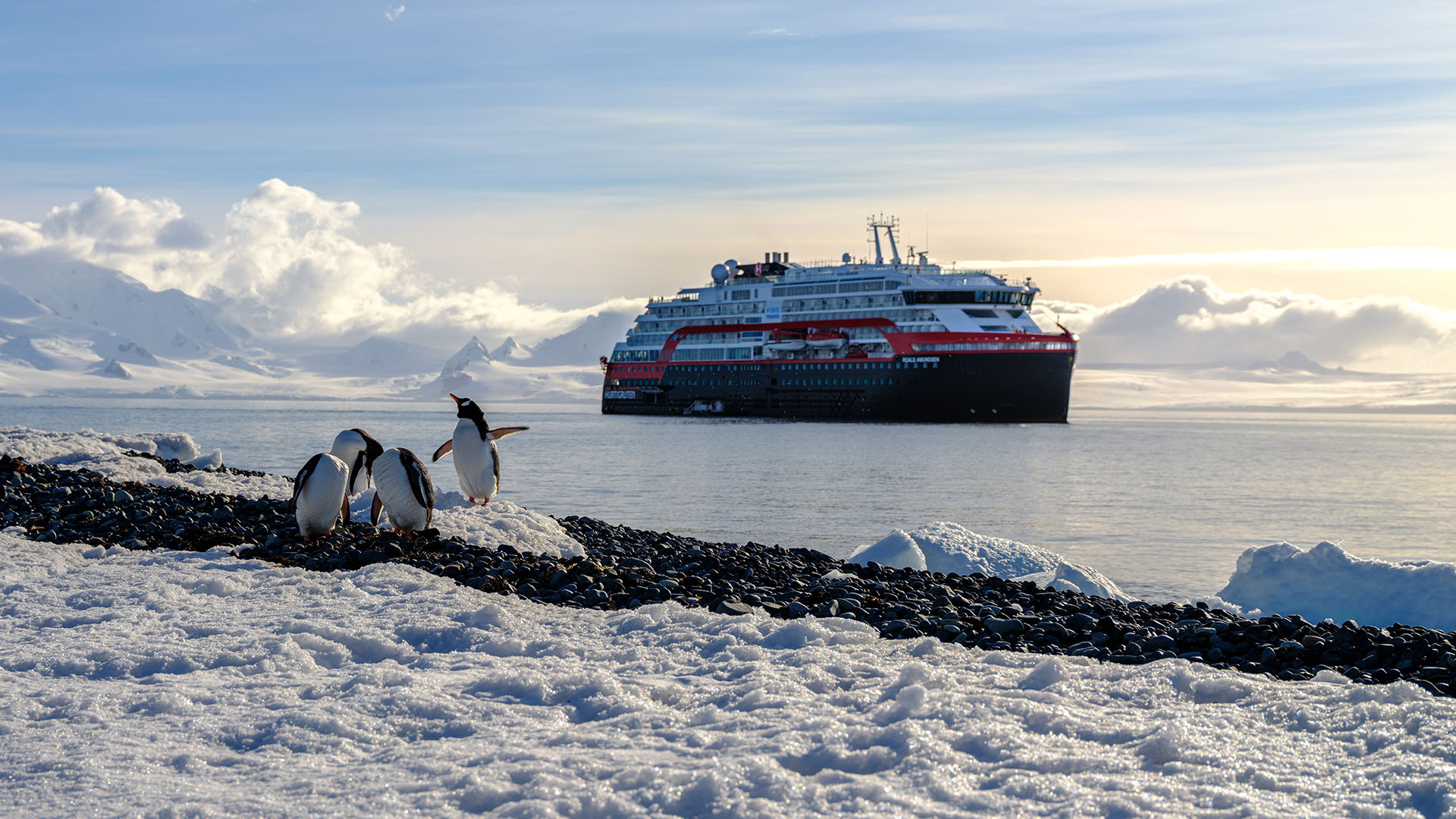 Dra på ekspedisjon med MS Roald Amundsen eller MS Fridtjof Nansen til Antarktis