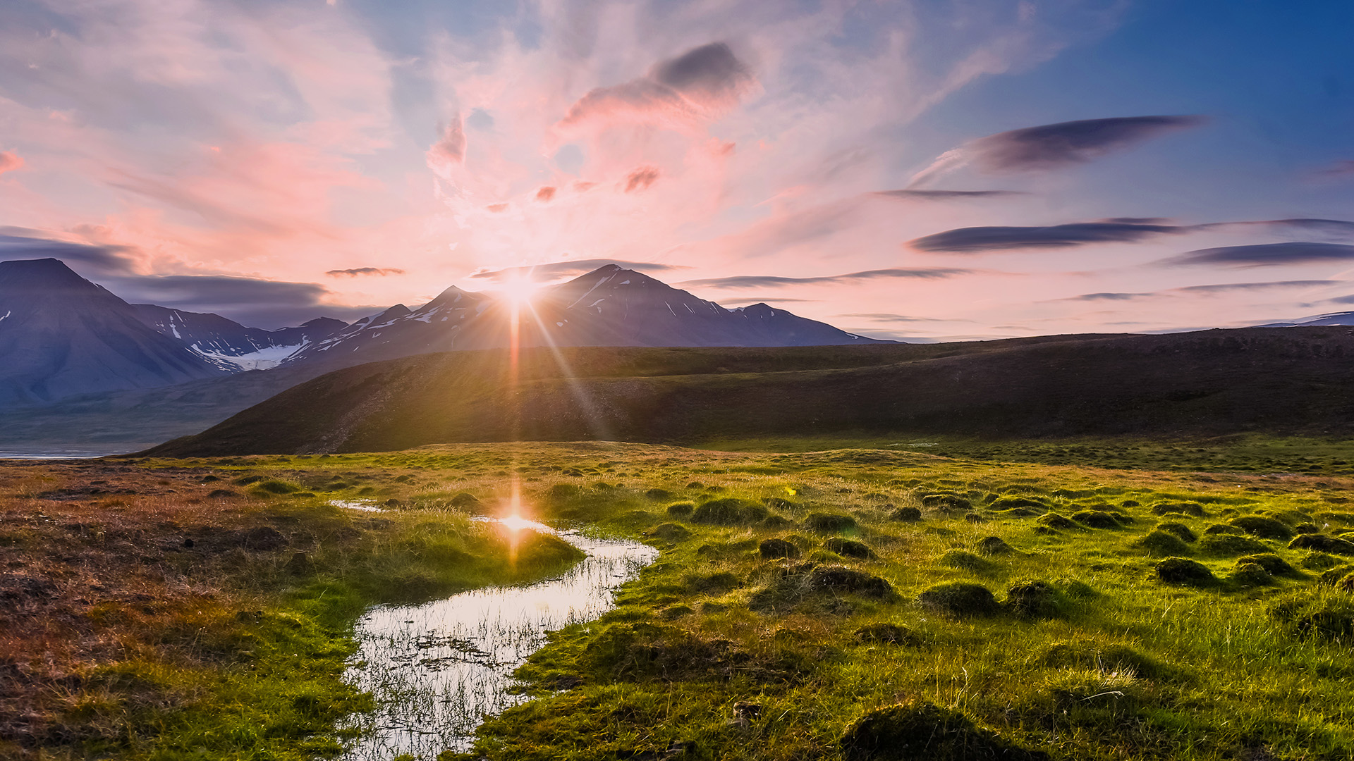 Opplev den arktiske sommeren på Svalbard