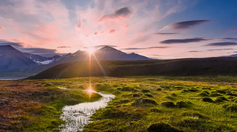 Opplev den arktiske sommeren på Svalbard