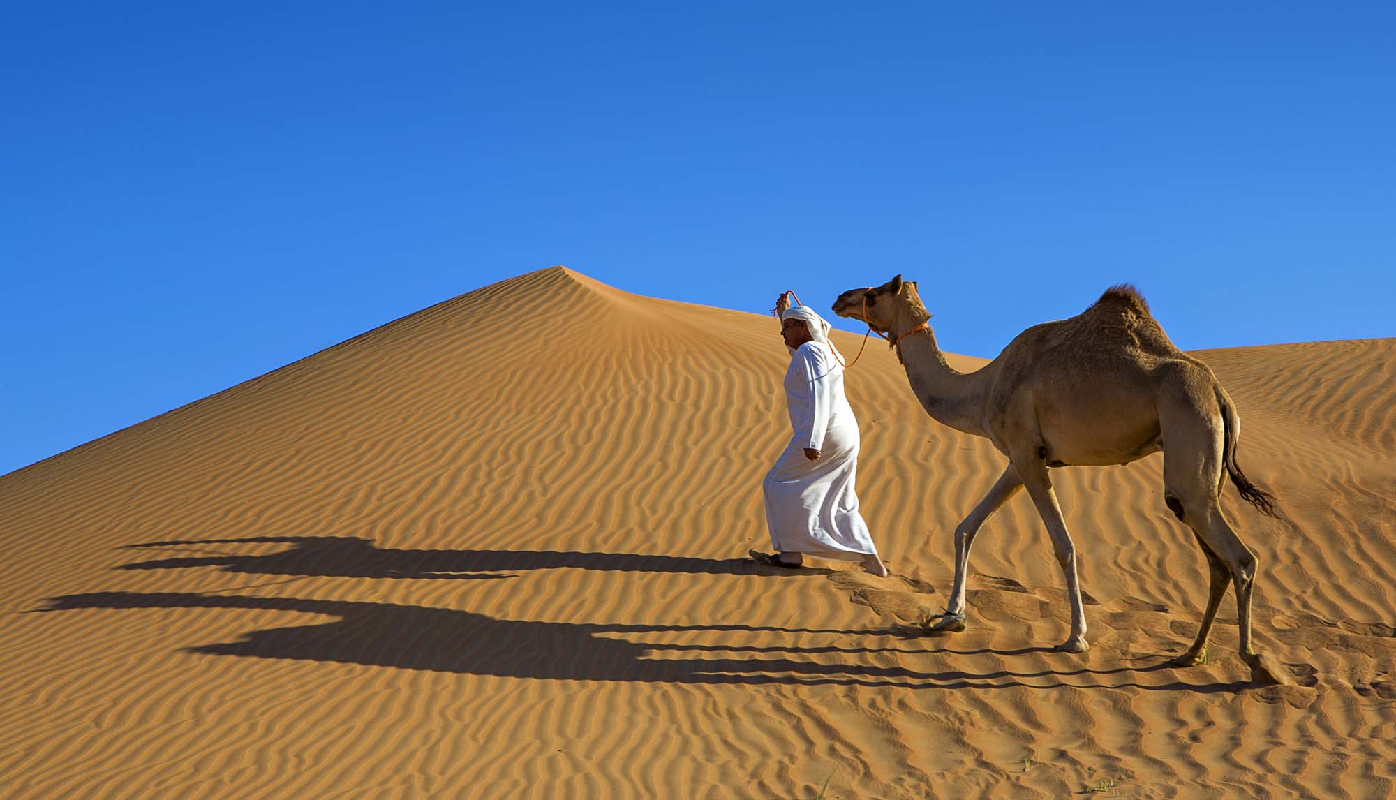 Dubais ørkenlandskap - Cruise i Midtøsten
