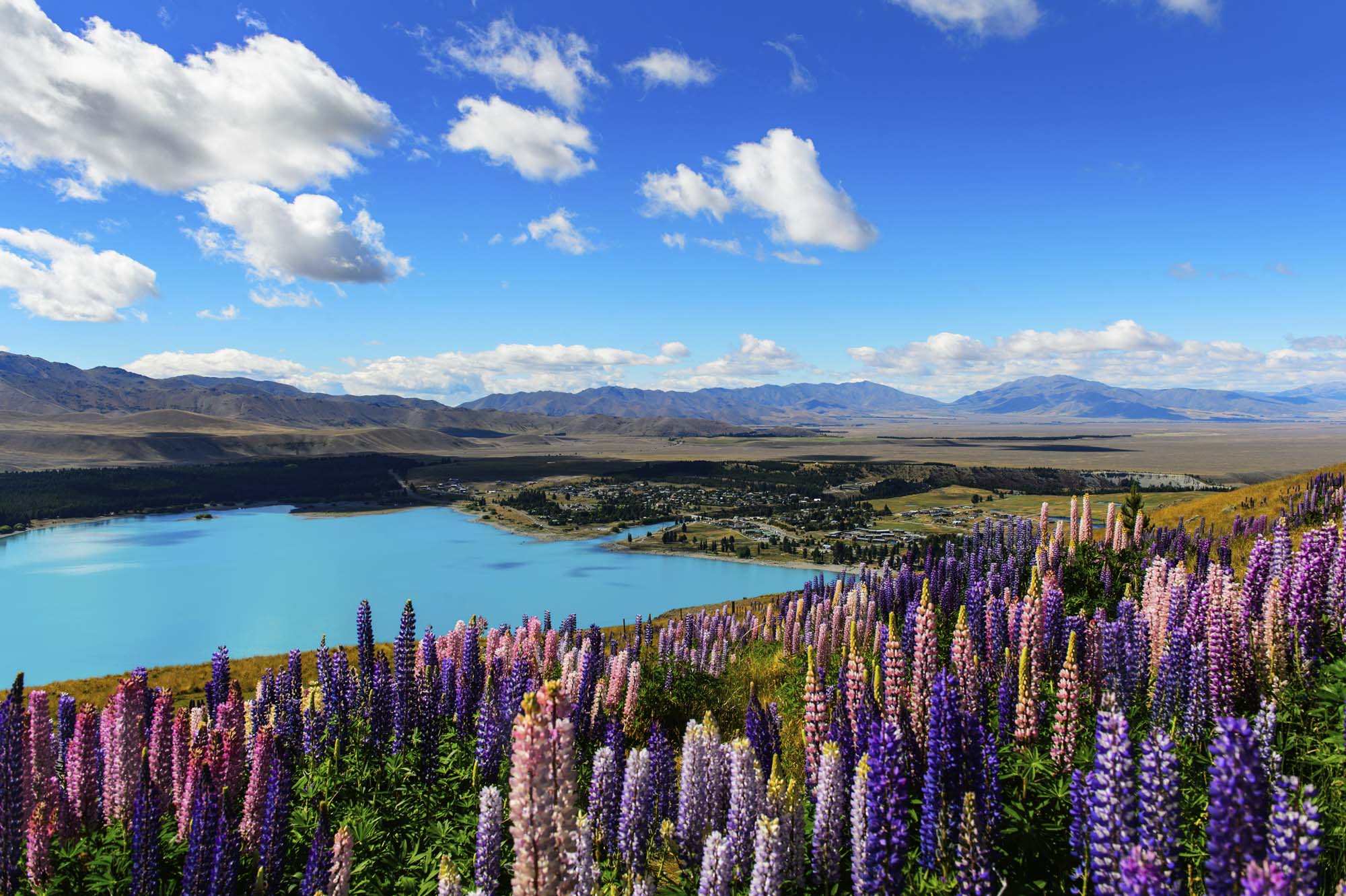 Lake Tekapo på Sørøya, New Zealand 