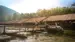 Ville elefanter kjøler seg ned i elven ved River Kwai Jungle Rafts Ville elefanter kjøler seg ned i elven ved River Kwai Jungle Rafts