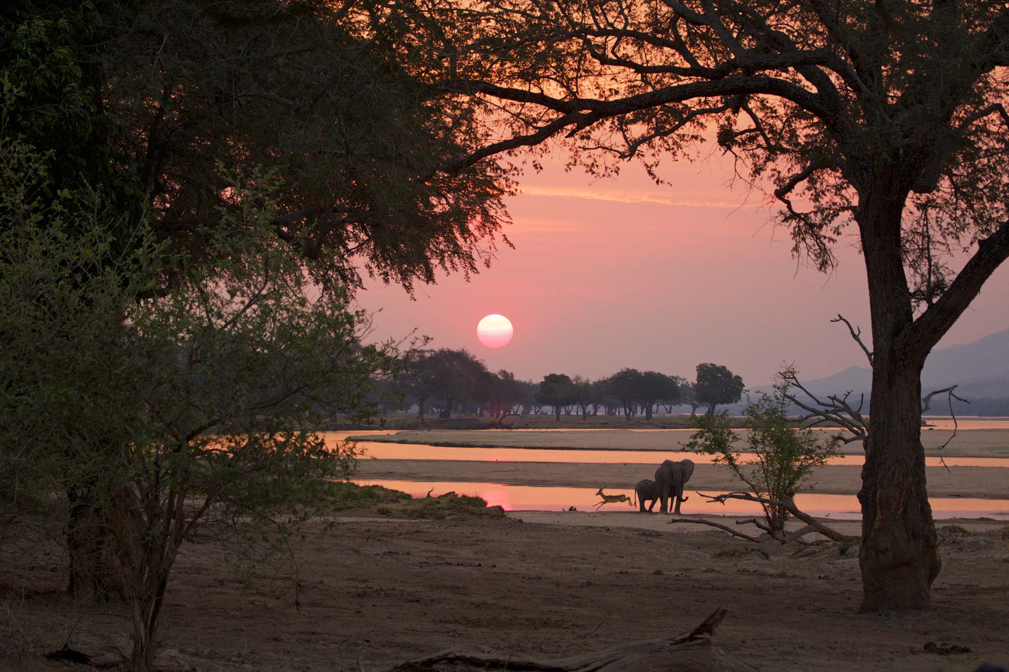 Mana Pools National Park i solnedgangen