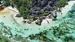 Seychelles La Digue Anse Source Dargent Shutterstock 1399577057 CUT