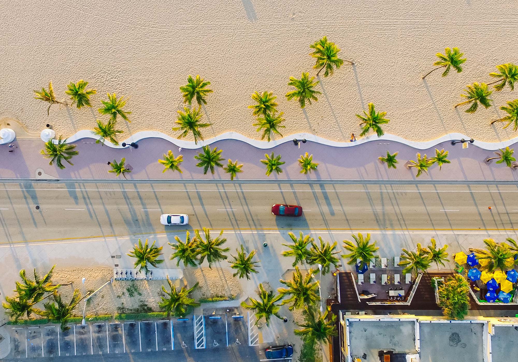 Kjør rundt i Floridas eksotiske omgivelser