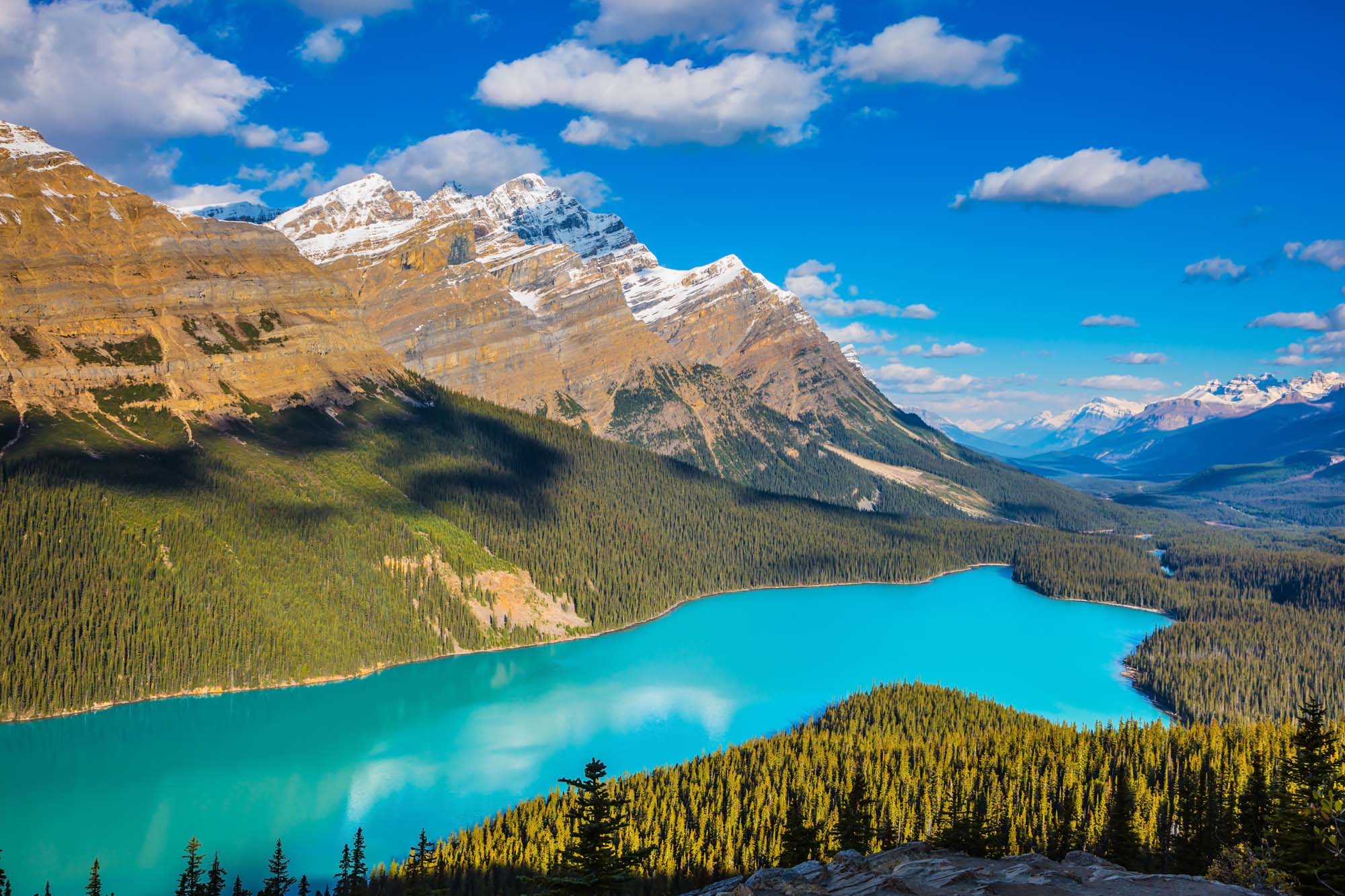 Peyto Lake i Banff National Park - Bilferie i Canada