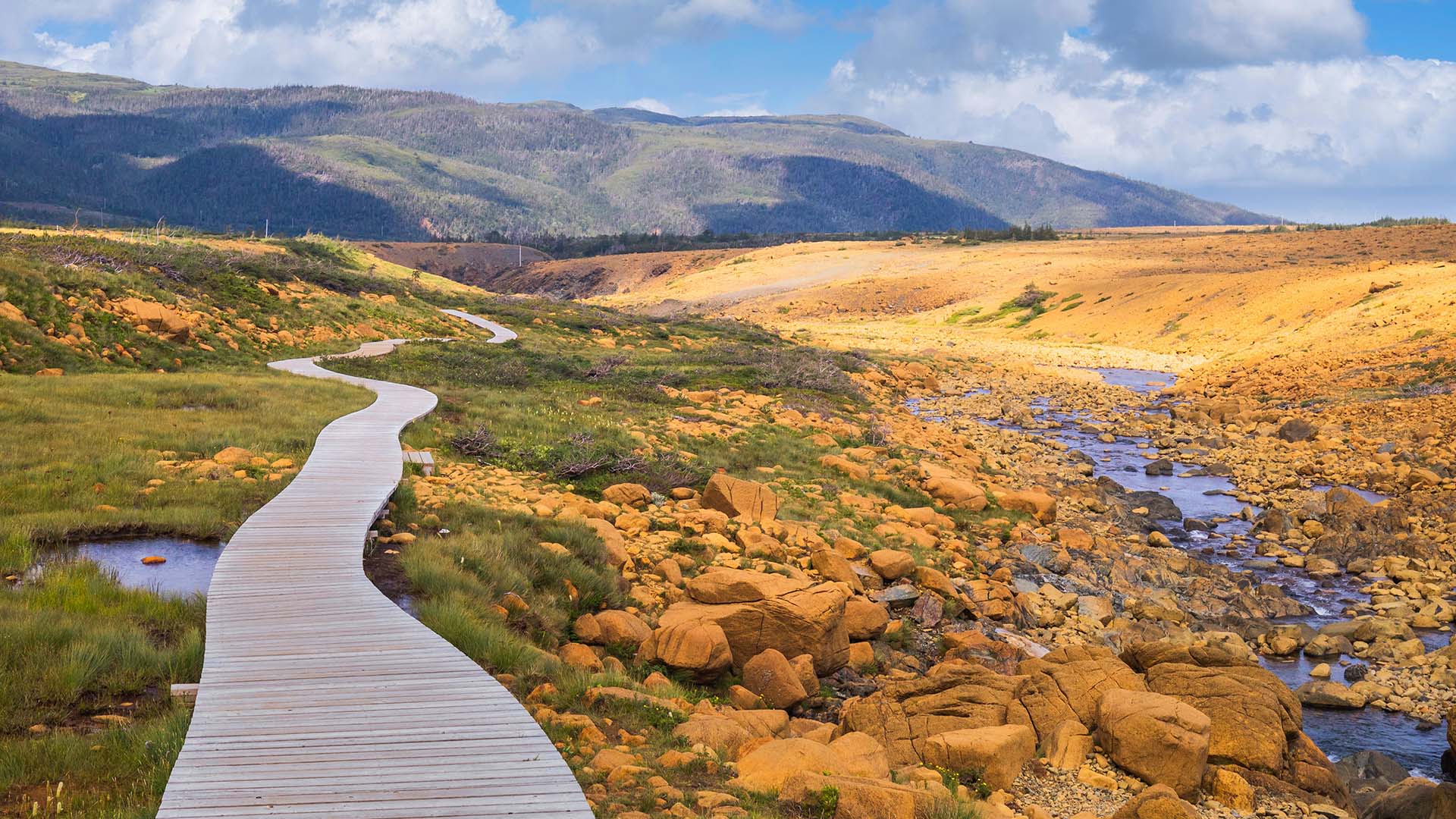 Dere kan bl.a. dra på dagstur til Gros Morne National Park