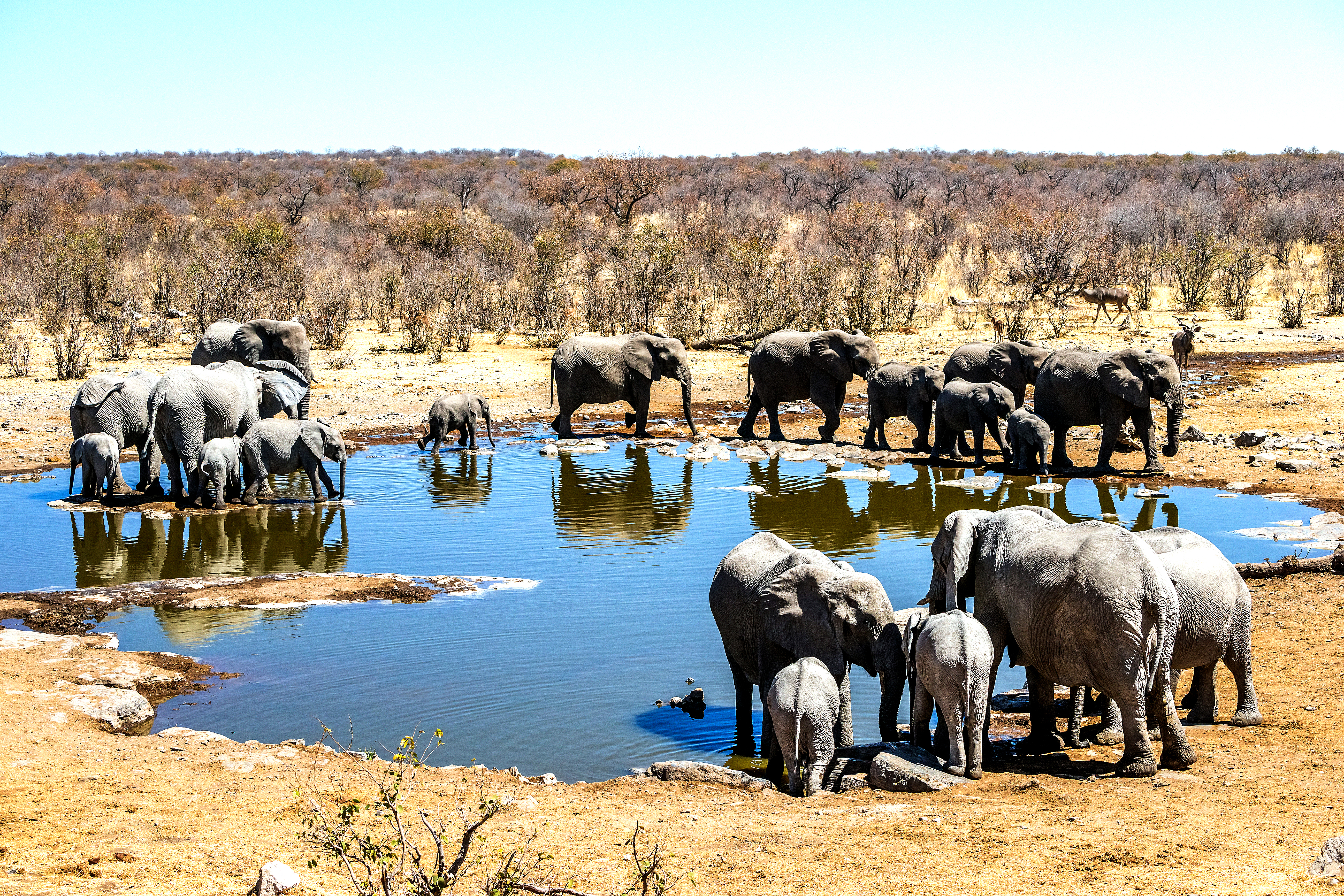 Et av vannhullene i Etosha National Park
