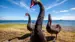 Opplev dyrelivet ved New Zealands største innsjø, Lake Taupo - Reiser til Taupo Opplev dyrelivet ved New Zealands største innsjø, Lake Taupo - Reiser til Taupo