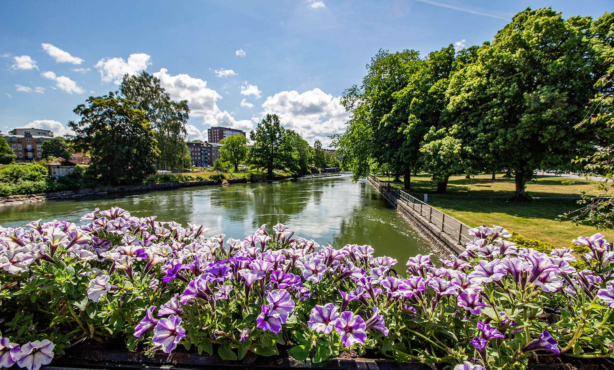 Elvecruise med BENNS