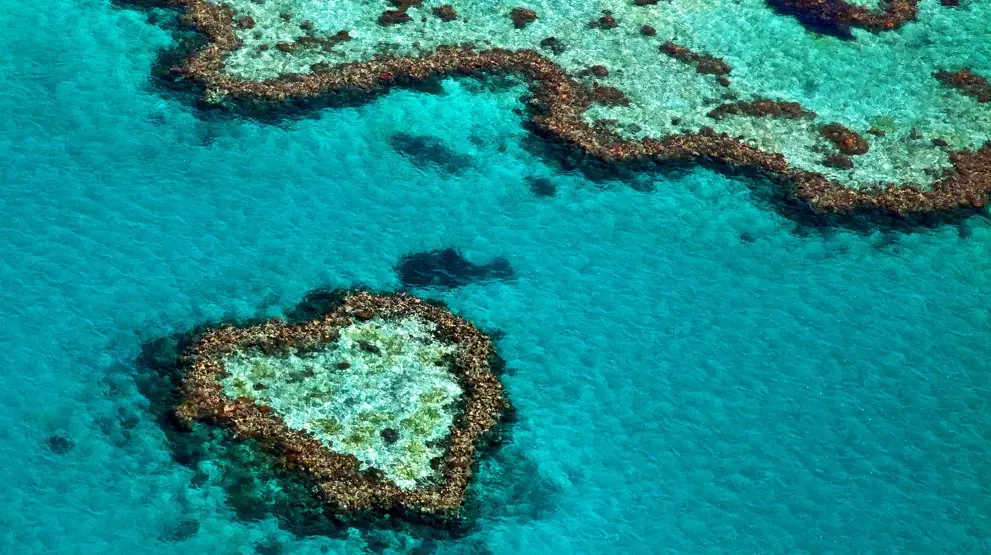Heart Reef i Great Barrier Reef 
