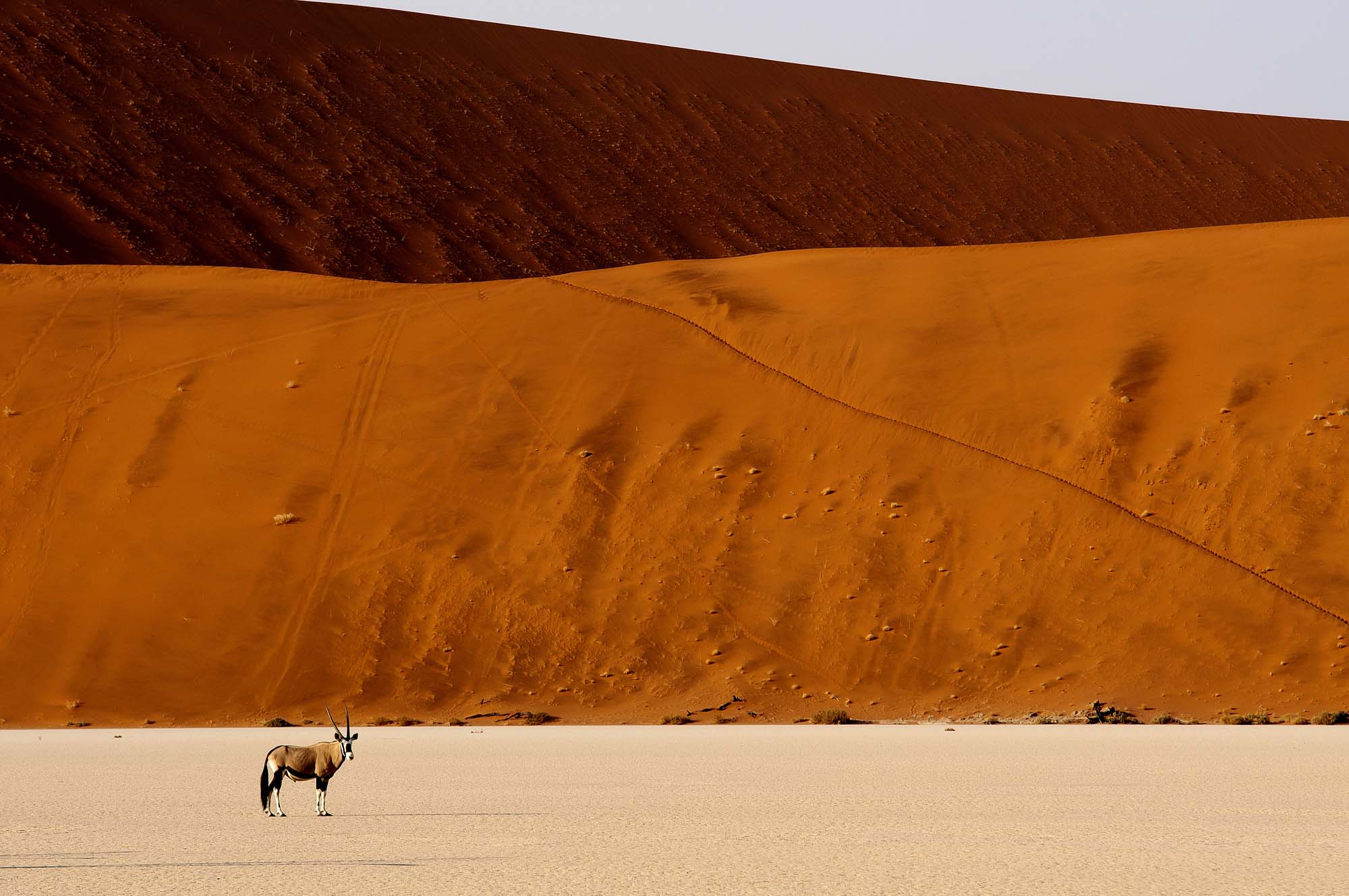 Sossusvleis imponerende sanddyner - Safari i Sossusvlei