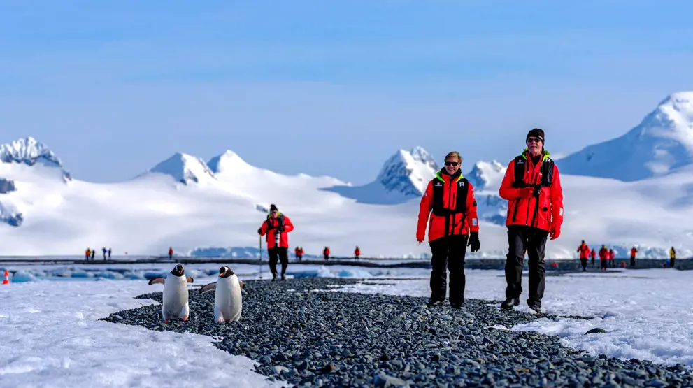 Oppdag det fantastiske dyrelivet rundt deg på et ekspedisjonscruise | Foto: Dan Avila