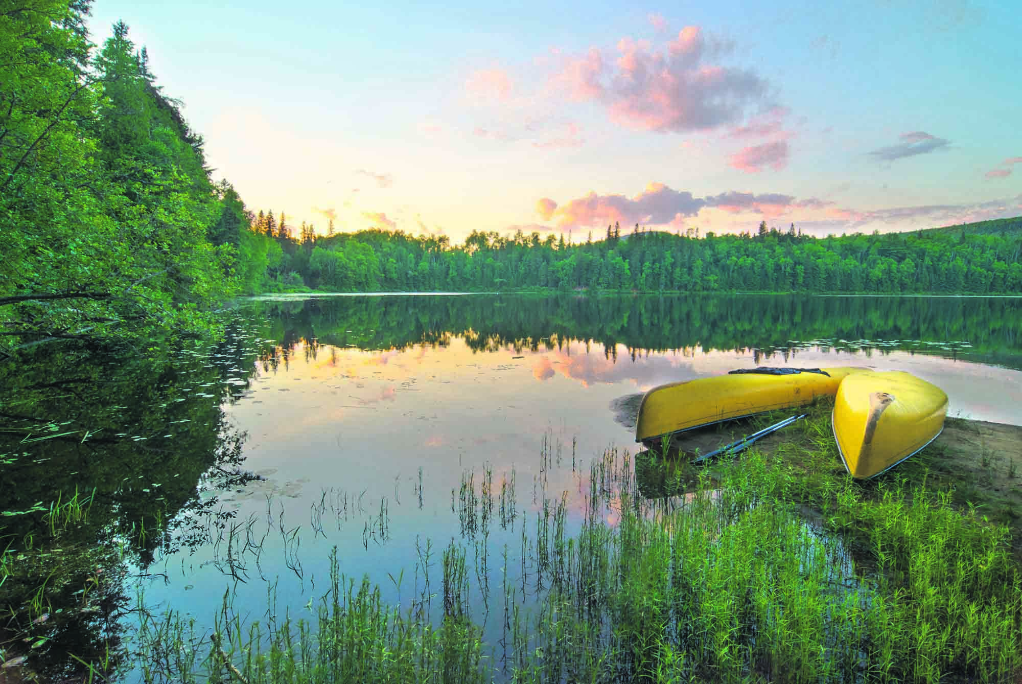 Algonquin Provincial Park, Ontario - Aktivitetsferie i Canada