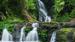 Elabana Falls - Reiser til Lamington nasjonalpark