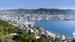 Utsikten fra Mount Victoria. Foto: New Zealand Tourism/Rob Suisted - Reiser til Wellington