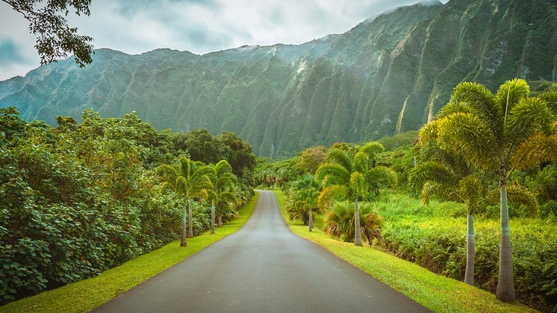 Det er opplagt å besøke flere av øyene når du reiser til Hawaii